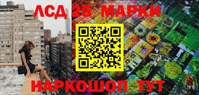 эйфоретик Донской