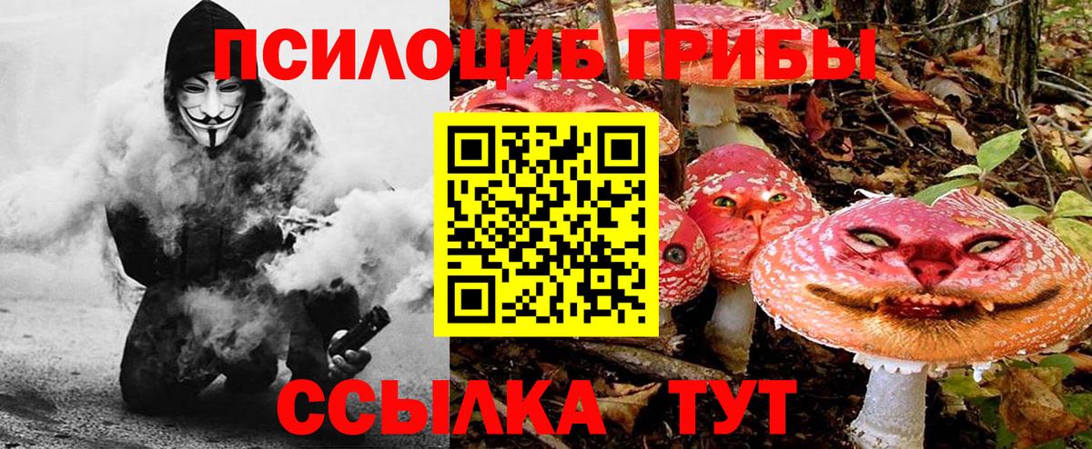 Псилоцибиновые грибы Cubensis  Вход с VPN  Миасс 