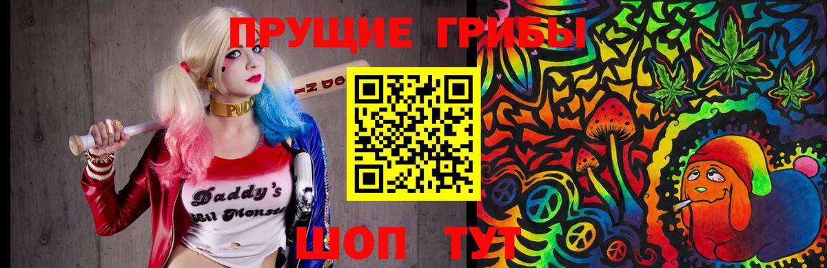 Псилоцибиновые грибы Psilocybe Миасс